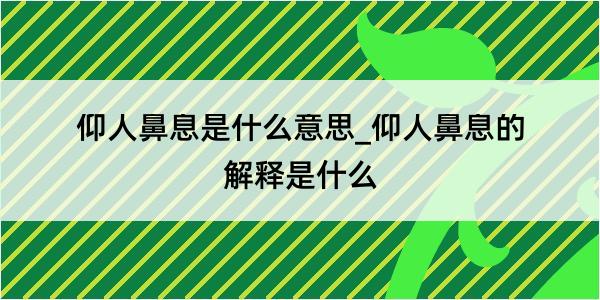 仰人鼻息是什么意思_仰人鼻息的解释是什么