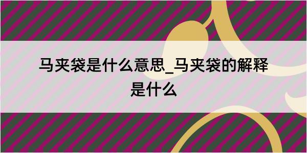 马夹袋是什么意思_马夹袋的解释是什么