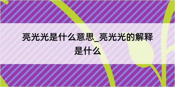 亮光光是什么意思_亮光光的解释是什么