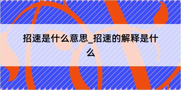 招速是什么意思_招速的解释是什么