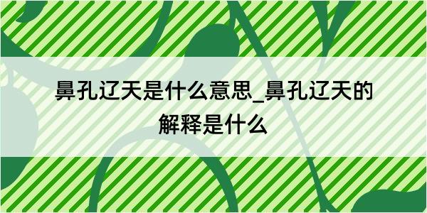 鼻孔辽天是什么意思_鼻孔辽天的解释是什么