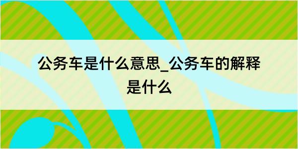 公务车是什么意思_公务车的解释是什么