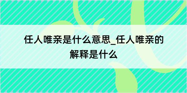 任人唯亲是什么意思_任人唯亲的解释是什么