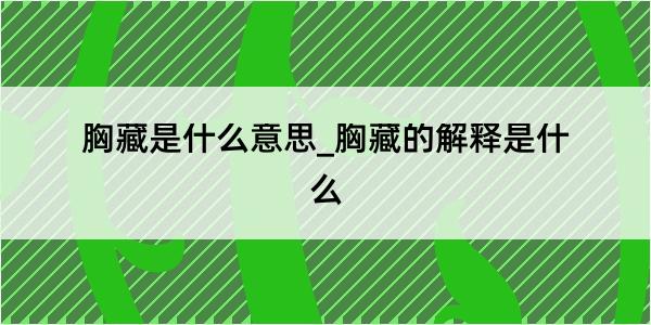 胸藏是什么意思_胸藏的解释是什么