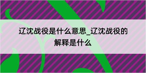 辽沈战役是什么意思_辽沈战役的解释是什么