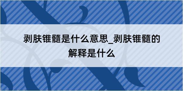 剥肤锥髓是什么意思_剥肤锥髓的解释是什么