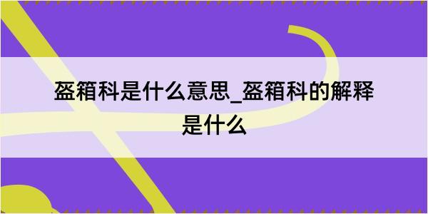 盔箱科是什么意思_盔箱科的解释是什么