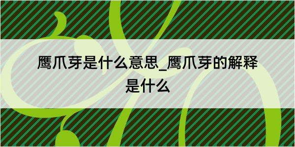 鹰爪芽是什么意思_鹰爪芽的解释是什么