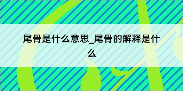 尾骨是什么意思_尾骨的解释是什么