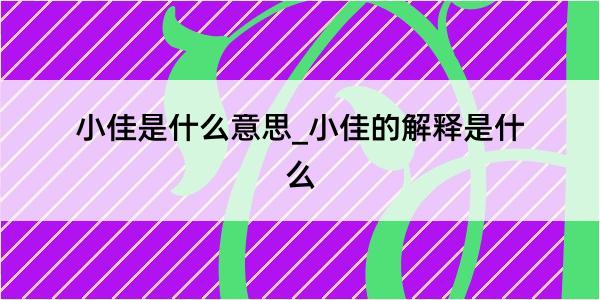 小佳是什么意思_小佳的解释是什么