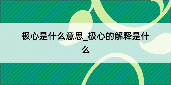 极心是什么意思_极心的解释是什么