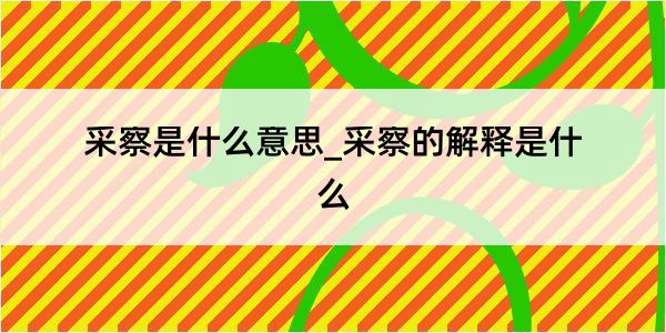 采察是什么意思_采察的解释是什么