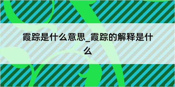 霞踪是什么意思_霞踪的解释是什么