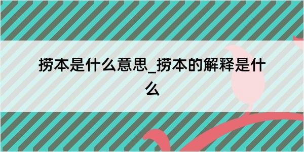 捞本是什么意思_捞本的解释是什么