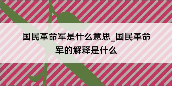 国民革命军是什么意思_国民革命军的解释是什么