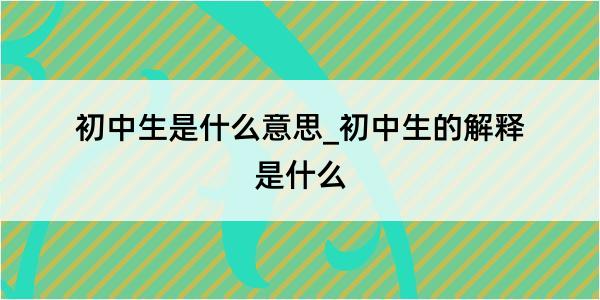 初中生是什么意思_初中生的解释是什么