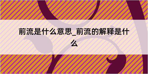 前流是什么意思_前流的解释是什么