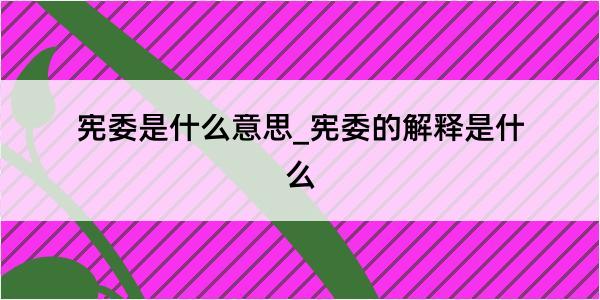 宪委是什么意思_宪委的解释是什么