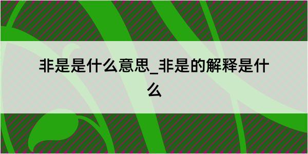 非是是什么意思_非是的解释是什么