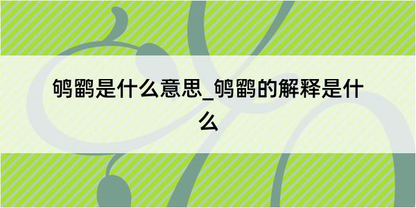 鸲鹠是什么意思_鸲鹠的解释是什么