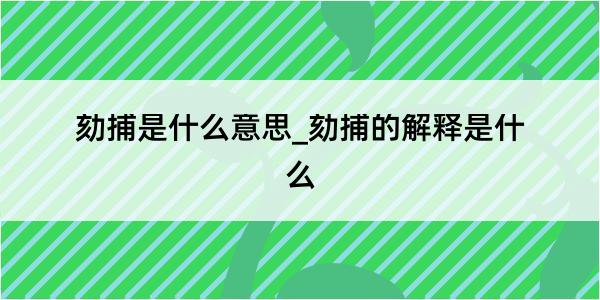 劾捕是什么意思_劾捕的解释是什么