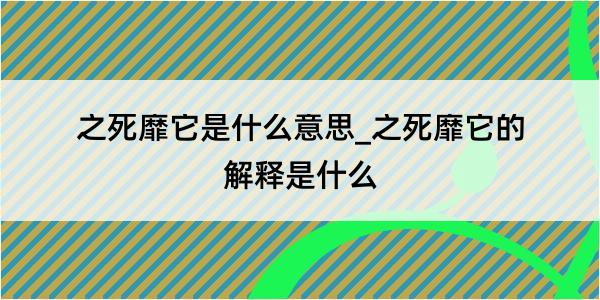 之死靡它是什么意思_之死靡它的解释是什么