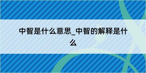 中智是什么意思_中智的解释是什么