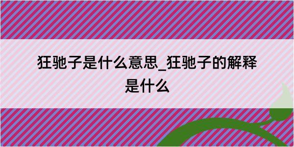 狂驰子是什么意思_狂驰子的解释是什么