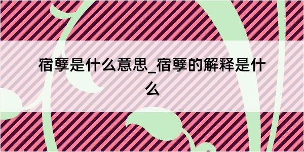 宿孽是什么意思_宿孽的解释是什么