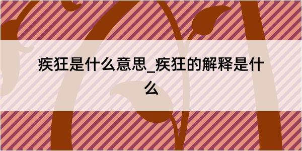 疾狂是什么意思_疾狂的解释是什么