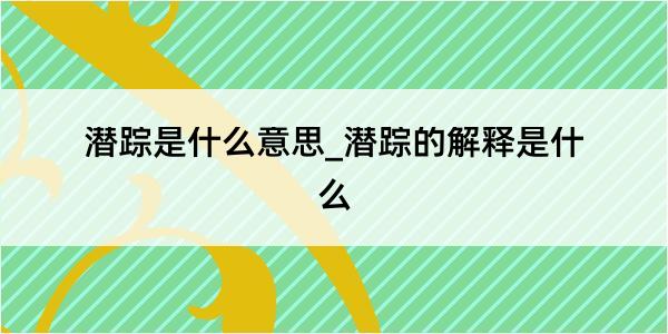 潜踪是什么意思_潜踪的解释是什么