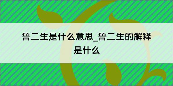 鲁二生是什么意思_鲁二生的解释是什么