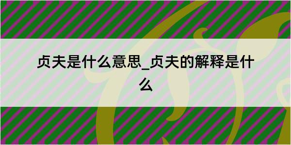 贞夫是什么意思_贞夫的解释是什么