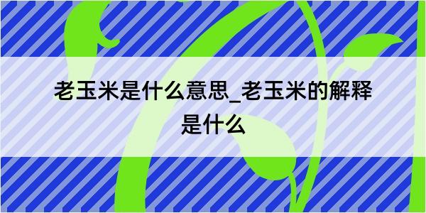 老玉米是什么意思_老玉米的解释是什么