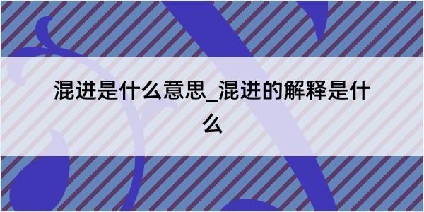 混进是什么意思_混进的解释是什么