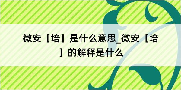 微安［培］是什么意思_微安［培］的解释是什么