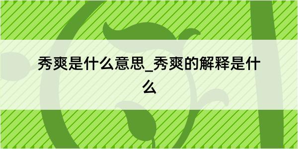 秀爽是什么意思_秀爽的解释是什么