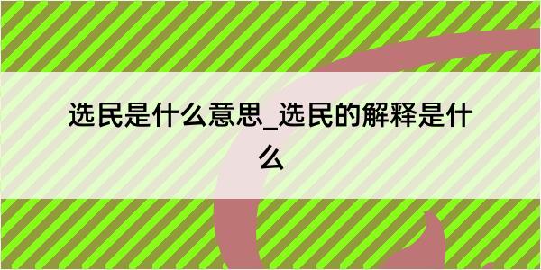 选民是什么意思_选民的解释是什么