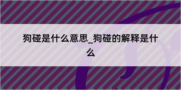 狗碰是什么意思_狗碰的解释是什么