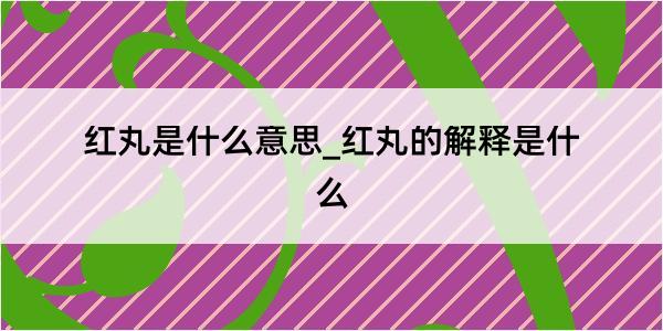 红丸是什么意思_红丸的解释是什么