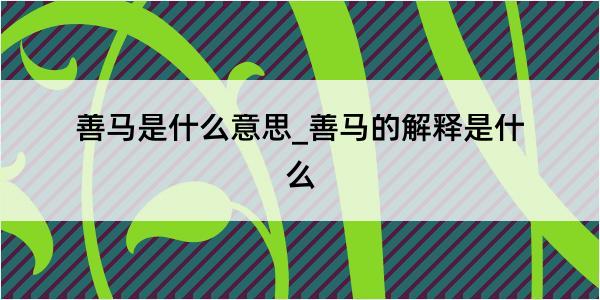 善马是什么意思_善马的解释是什么