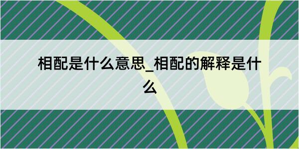 相配是什么意思_相配的解释是什么