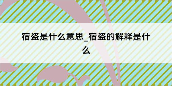 宿盗是什么意思_宿盗的解释是什么