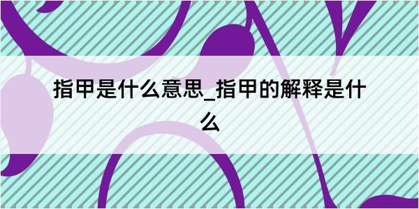 指甲是什么意思_指甲的解释是什么