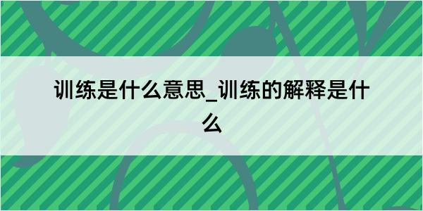 训练是什么意思_训练的解释是什么