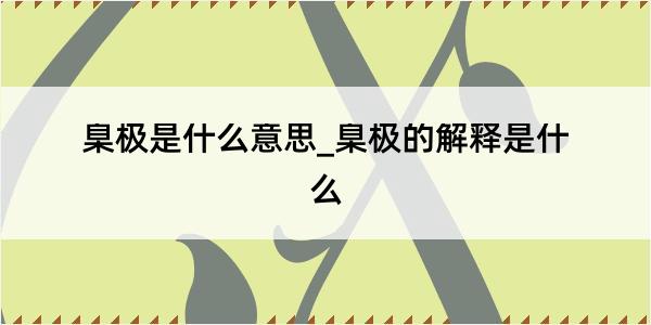 臬极是什么意思_臬极的解释是什么