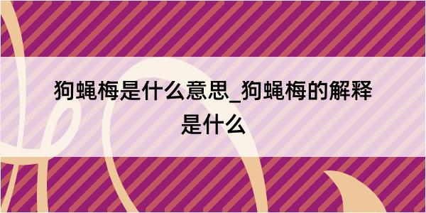 狗蝇梅是什么意思_狗蝇梅的解释是什么