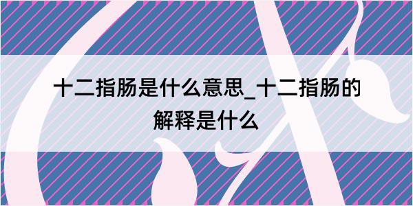 十二指肠是什么意思_十二指肠的解释是什么