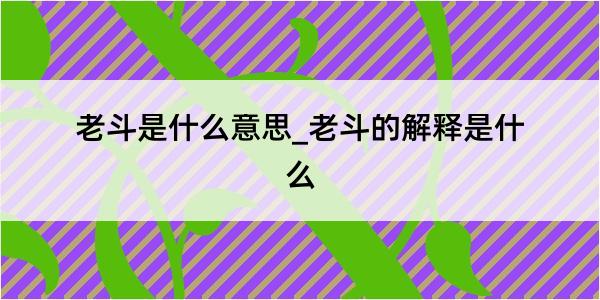 老斗是什么意思_老斗的解释是什么