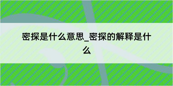 密探是什么意思_密探的解释是什么